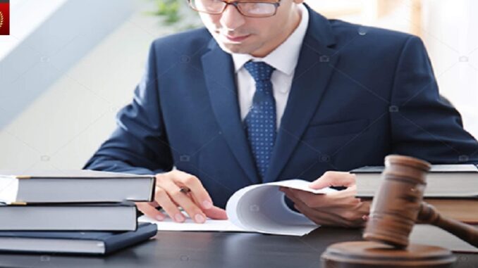 Male lawyer working in office